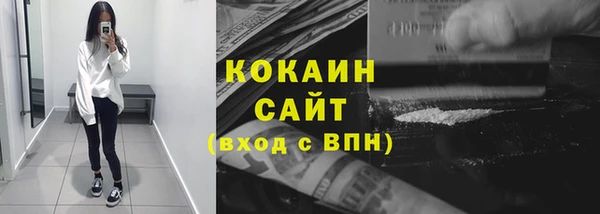 сатива Аркадак
