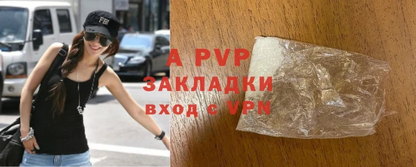 сатива Аркадак